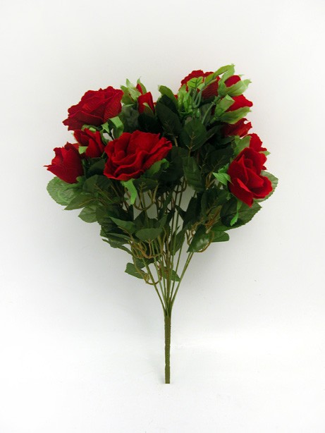 Velvet Rose Bush Red 