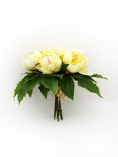 Bundle Peony Yellow 