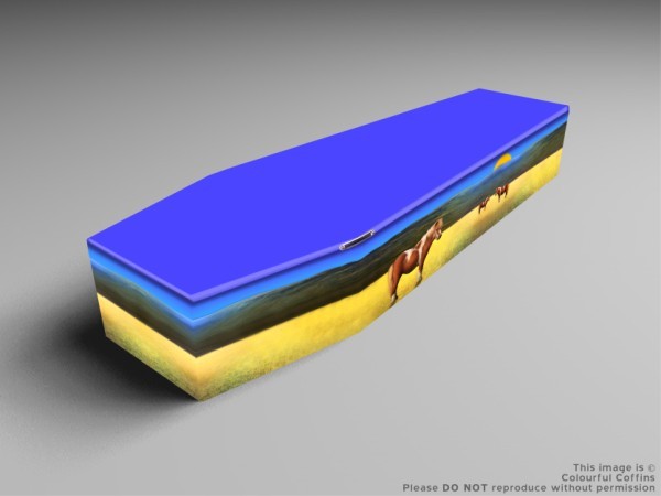 Pony, camels, and Swan printed coffins