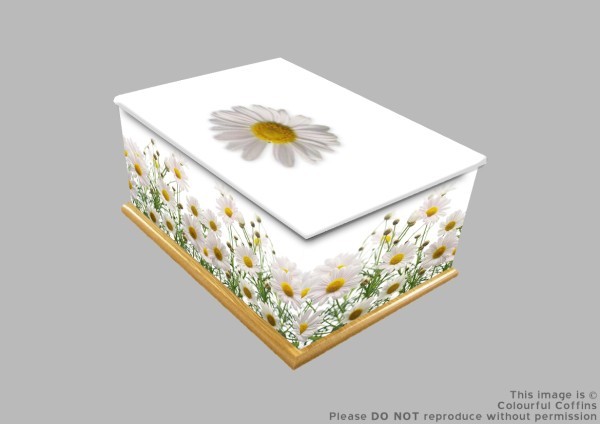 Daisy, Autumn, and bluebell printed wooden ashes caskets