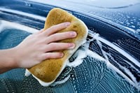 Rose House Carnauba Wash & Wax