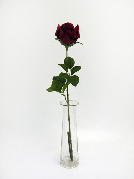 Clumber Red Rose