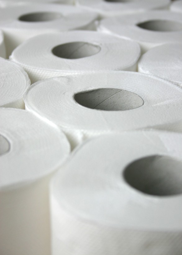 320 sheet toilet rolls