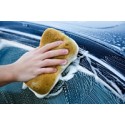 Rose House Wash & Wax 5litre