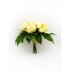 Bundle Peony Yellow