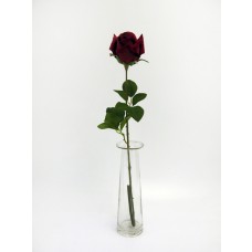 Clumber Red Rose