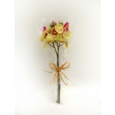 Orchid Bundle x3 Pale Purple