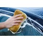 Rose House Wash & Wax 5litre