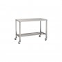 Stainless Steel Trolley 600x600mm