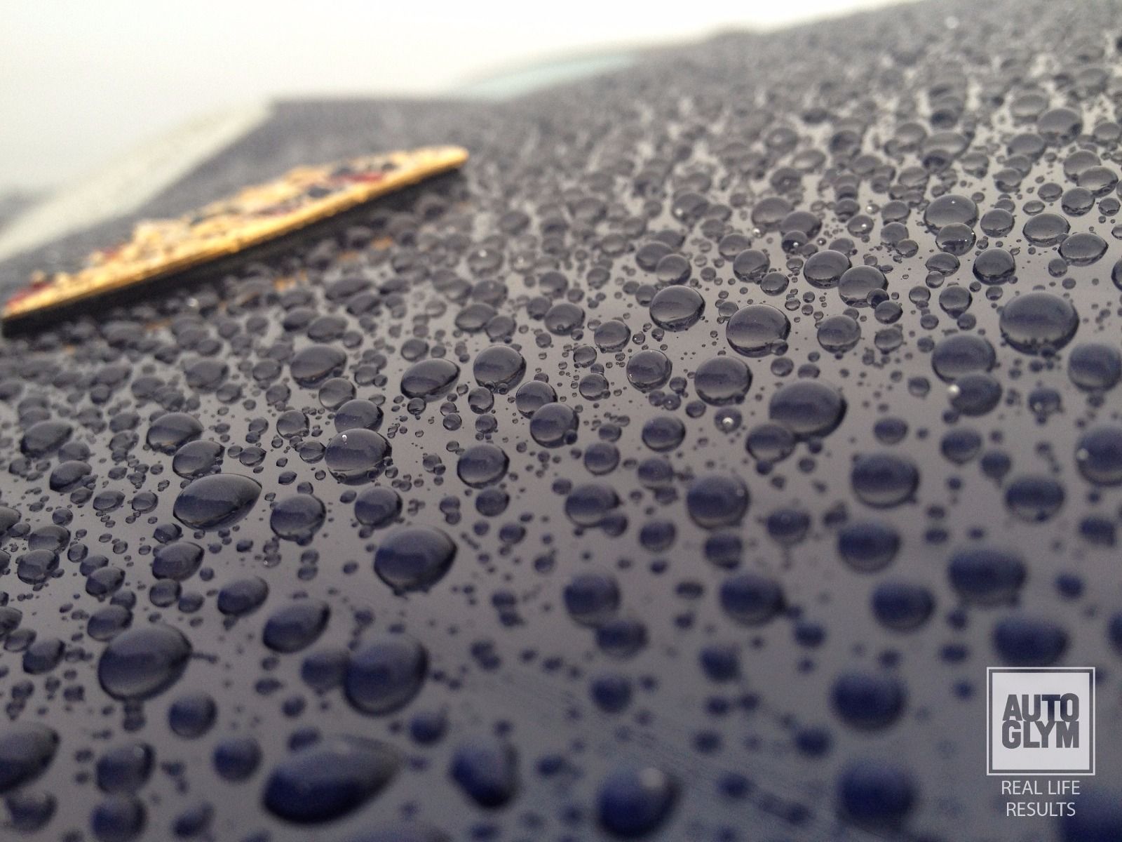 Extra Gloss Protection (AG013)