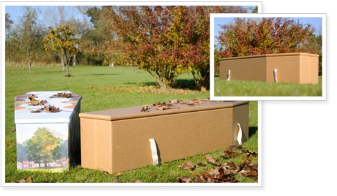 Cardboard coffins