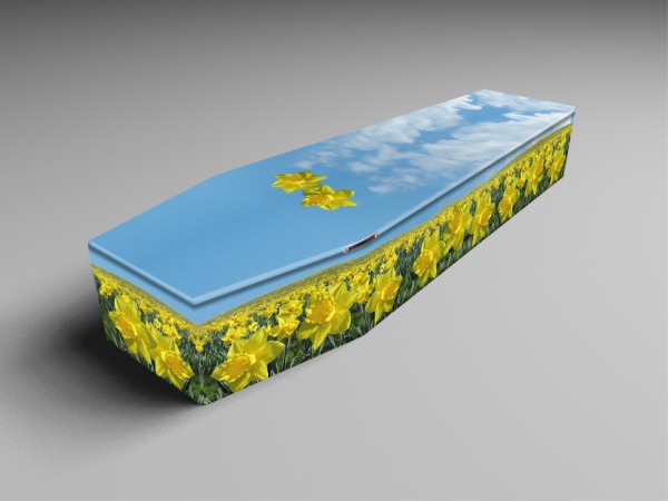 Printed coffins-680