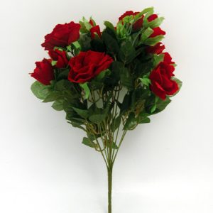 Velvet Rose Bush Red -0