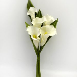 Eternity Calla Lily Bundle Cream large-0