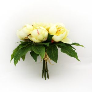 Bundle Peony Yellow -0