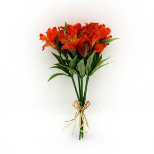 Alstromeria Bundle Orange -0
