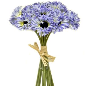Bundle Daisy x12 Blue-0