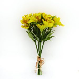 Alstromeria Bundle Yellow-0