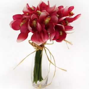 Bundle Cymbidium Pink -0