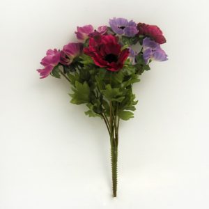 Anemone Bush x9 Multi Colour -0