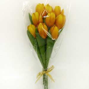 Tulip Bundle x9 Orange -0