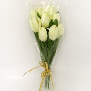 Tulip Bundle x9 Cream-0