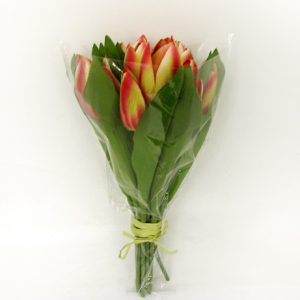 Tulip Bundle x15 Yellow/Red -0