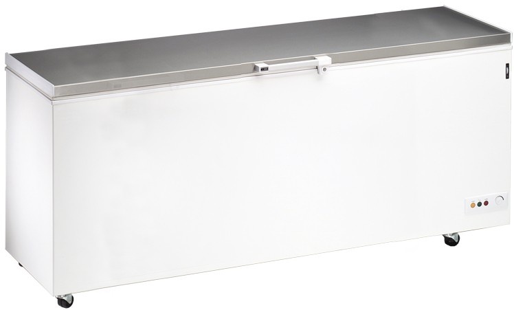 Commercial single body Cadaver Chest freezer -2541